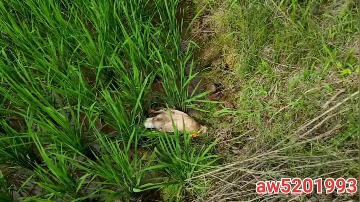 【2021-06-11 15点场】叶子户外：基地的快乐生活