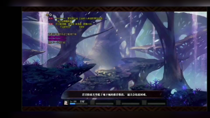 DNF 莱斯特