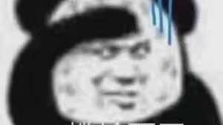 优先单排