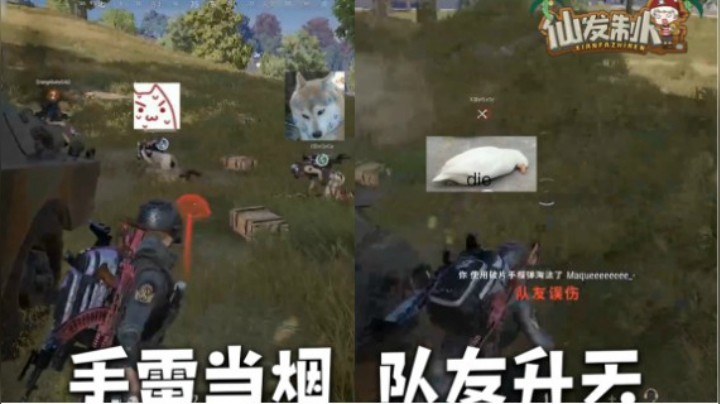 【仙某某】仙某某拿手雷当烟雾弹痛击队友！我真的不是故意的！