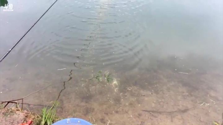 【2021-06-11 18点场】魅力生活i：坐等风大师给水库上一课