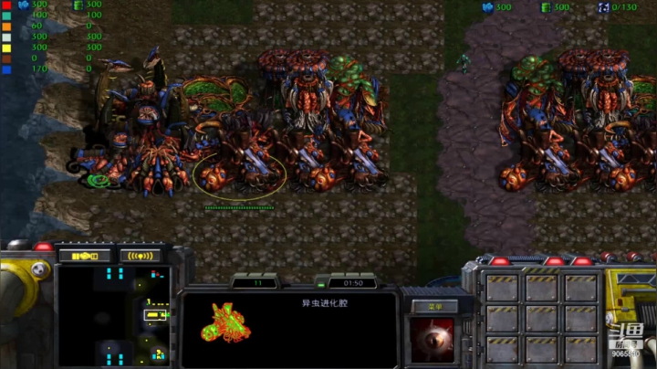 【星际争霸】pvt 1招2打rpg bc打死t