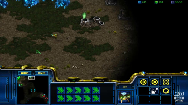 【星际争霸】pvt 航母