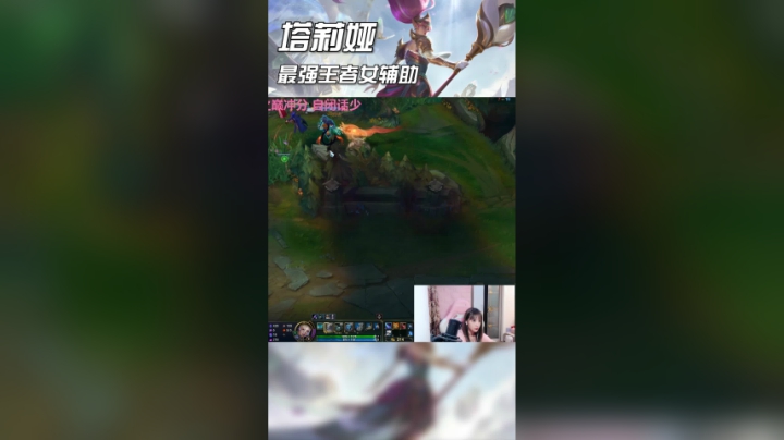 风女天花板——塔莉猪