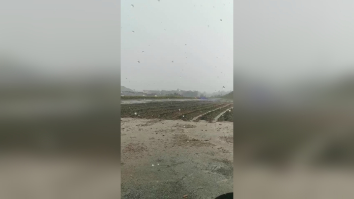 农场下大雨