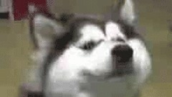 直播回放