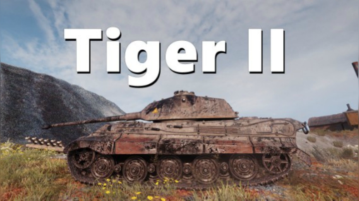 虎王:白板不要逞强 能干啥干啥