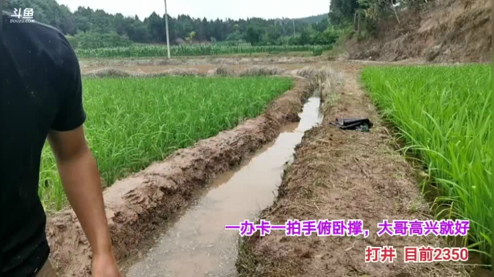 【2021-06-08 14点场】绵阳大娃：谢谢大家的关心