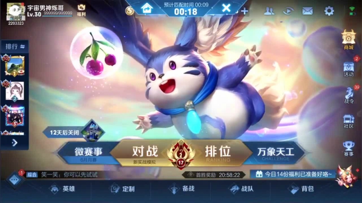 单排上荣耀 (19)