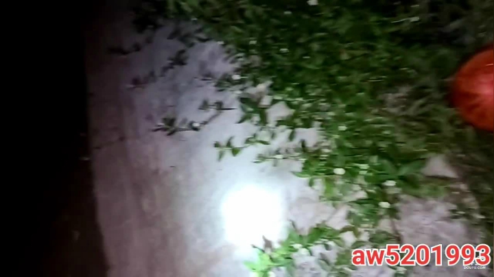 【2021-06-13 22点场】叶子户外：找鱼塘，干鱼塘