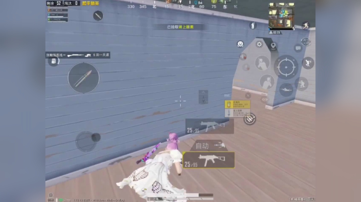 和平精英山谷钢枪吃鸡