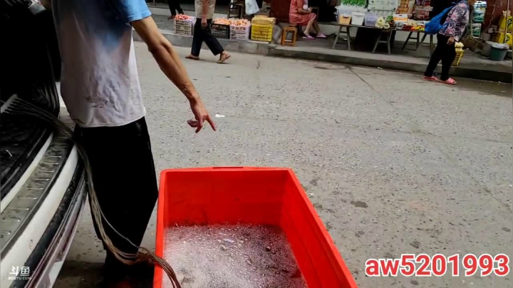 【2021-06-14 09点场】叶子户外：干鱼塘，端午节安康