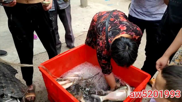 【2021-06-14 07点场】叶子户外：干鱼塘，端午节安康