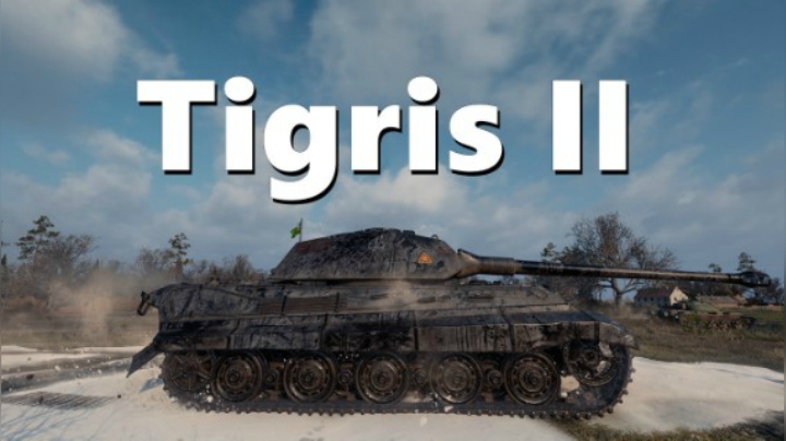 虎王:幼虎以静制动伺机而发