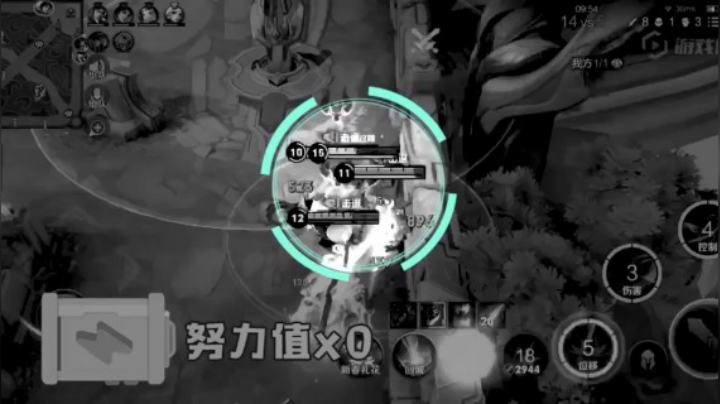 大鲨鱼集锦2！
