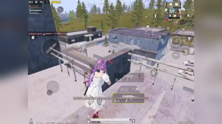 和平精英山谷钢枪吃鸡