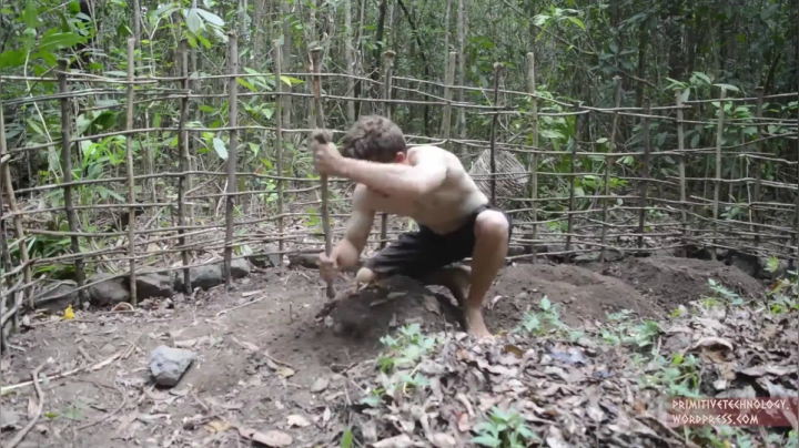 17_甘薯田的收获 (2)户外空手鼻祖 短裤荒野 原始技术 出书始末