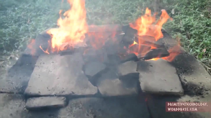 30_泥砖 (5))有鱼币的朋友，点进视频投个币