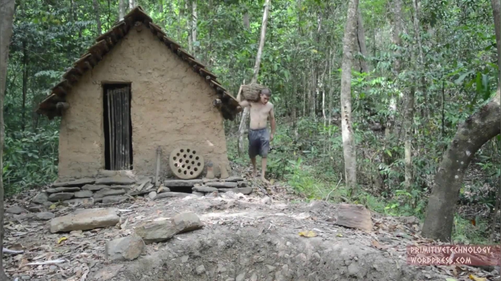 25_蚁巢粘土 (1)有鱼币的朋友，点进视频投个币