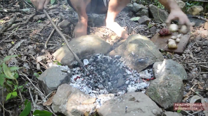 17_甘薯田的收获 (3)户外空手鼻祖 短裤荒野 原始技术 出书始末