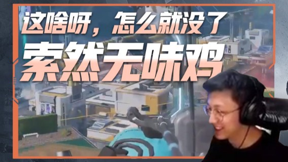 这啥呀，怎么就没了，索然无味鸡