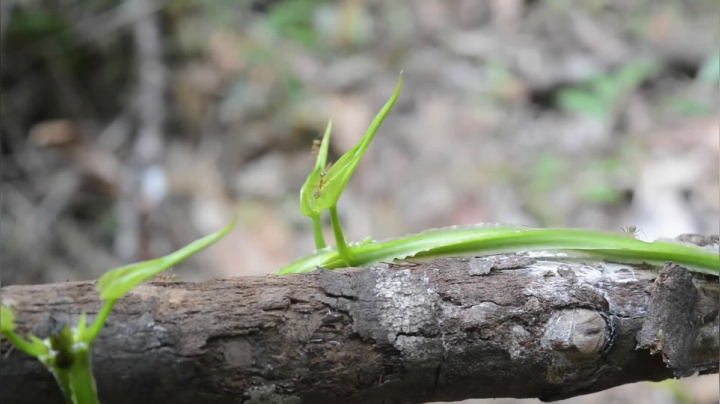 49_四年半回顾 (5)