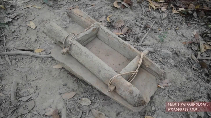 30_泥砖 (2))有鱼币的朋友，点进视频投个币