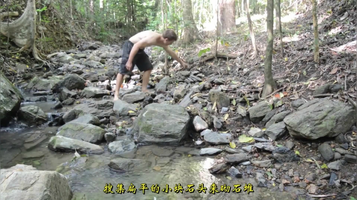 42_石堆种大薯 (1)有鱼币的朋友，点进视频投个币吧