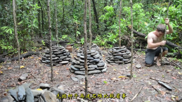 42_石堆种大薯 (3)有鱼币的朋友，点进视频投个币吧