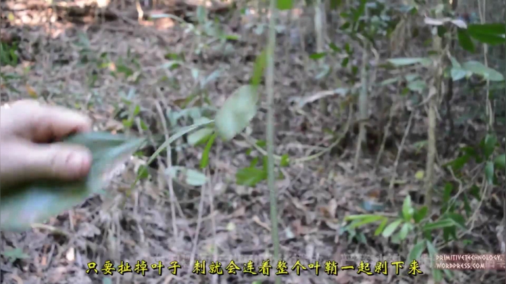 28_凉鞋 (1))有鱼币的朋友，点进视频投个币