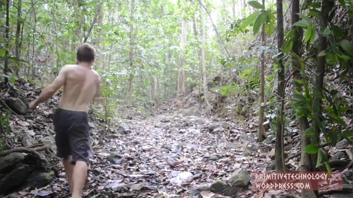 11_投石索 (4)有鱼币的朋友，点进视频投个币