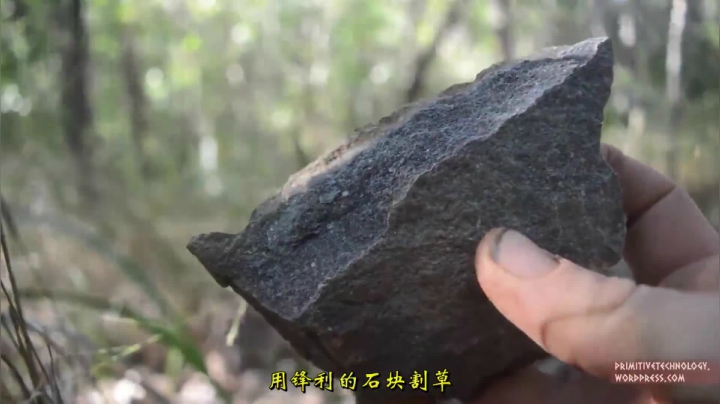 18_山上的茅草屋 (2)户外空手鼻祖 短裤荒野 原始技术 出书始末