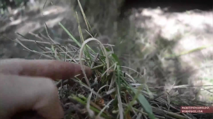 18_山上的茅草屋 (3)户外空手鼻祖 短裤荒野 原始技术 出书始末