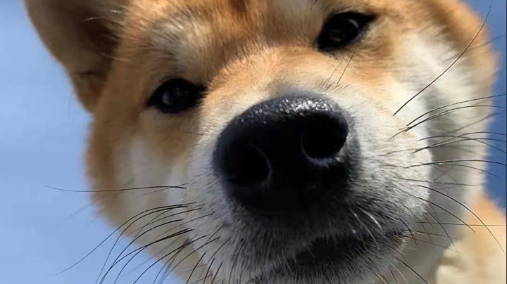 随便打打