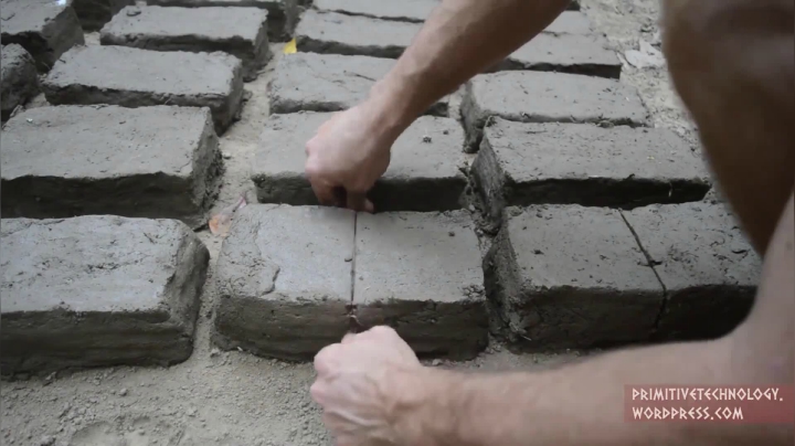 30_泥砖 (3))有鱼币的朋友，点进视频投个币