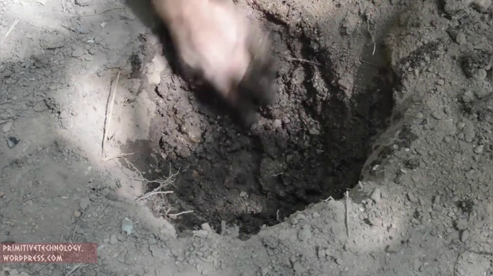 40_小铁珠 (1)有鱼币的朋友，点进视频投个币吧