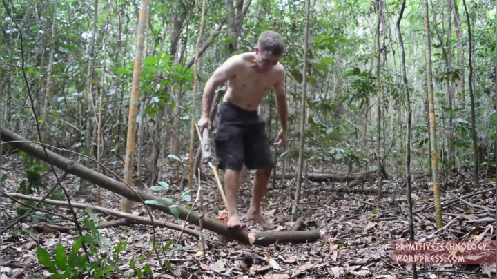 30_泥砖 (1))有鱼币的朋友，点进视频投个币