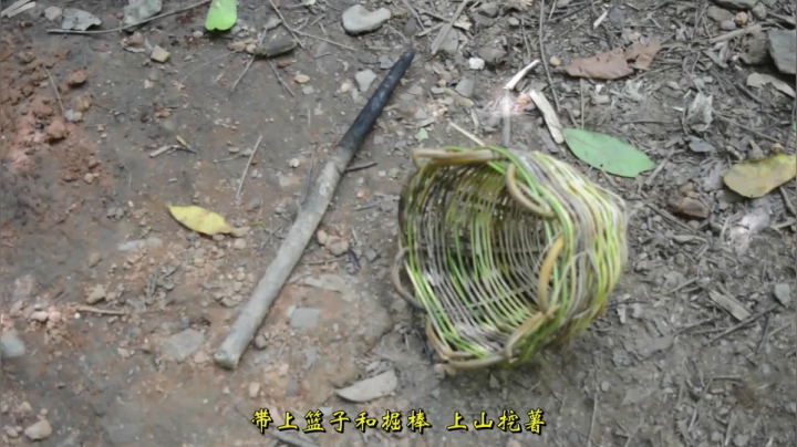 45_蒟蒻薯淀粉 (1)