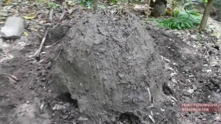 14_烧制木炭 (2)有鱼币的朋友，点进视频投个币