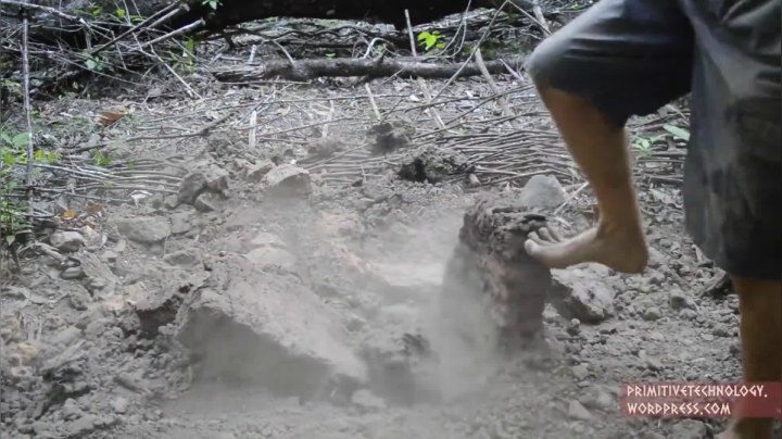 24_栽培木薯和大薯 (1)