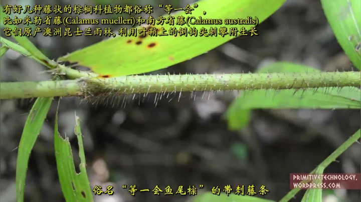 23_带床的草棚 (1)