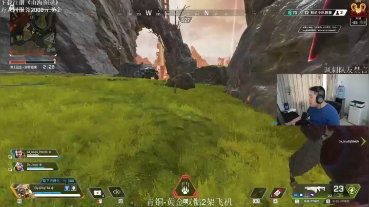 最后一波大意了，没能吃到鸡，遗憾第二名