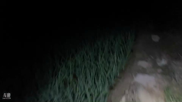 【2021-06-16 20点场】魅力生活i：继续河道喂鱼