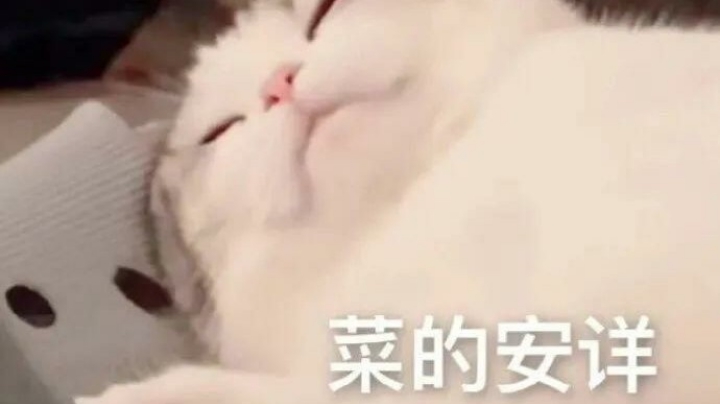 带魁拔