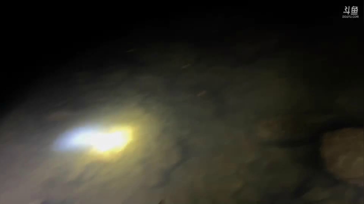 【2021-06-16 21点场】魅力生活i：继续河道喂鱼