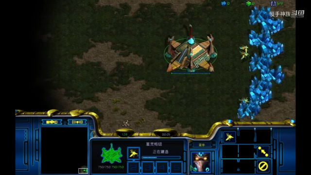 慢手神族pvz空头DK