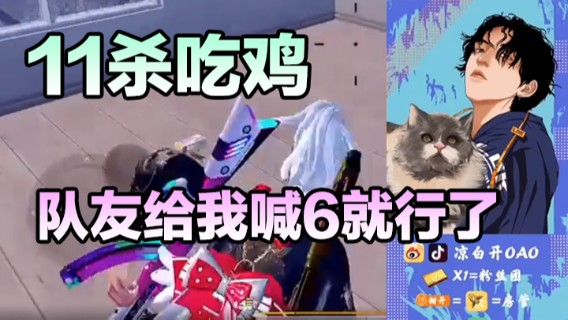 11杀吃鸡，队友给我喊6就行了