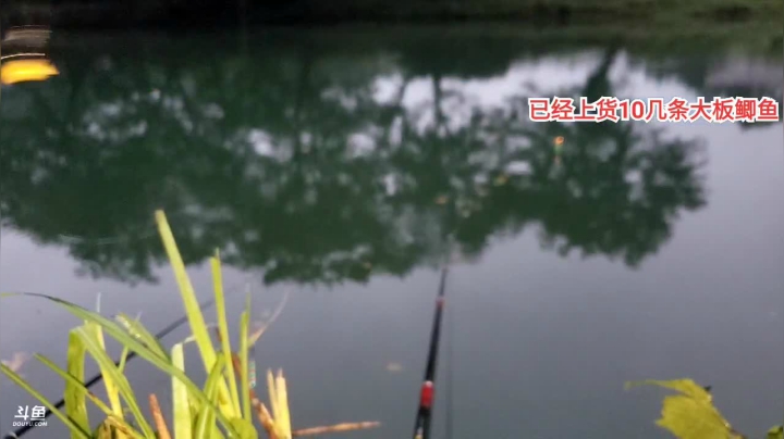 【2021-06-17 19点场】魅力生活i：河道钓大板鲫鱼