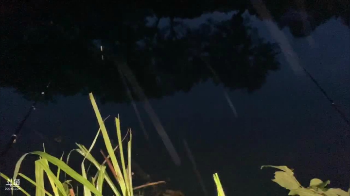 【2021-06-17 19点场】魅力生活i：河道钓大板鲫鱼