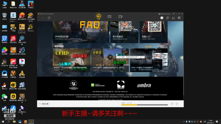 【2021-06-17 16点场】一只小小流浪猫：小菜鸟出没，请注意！